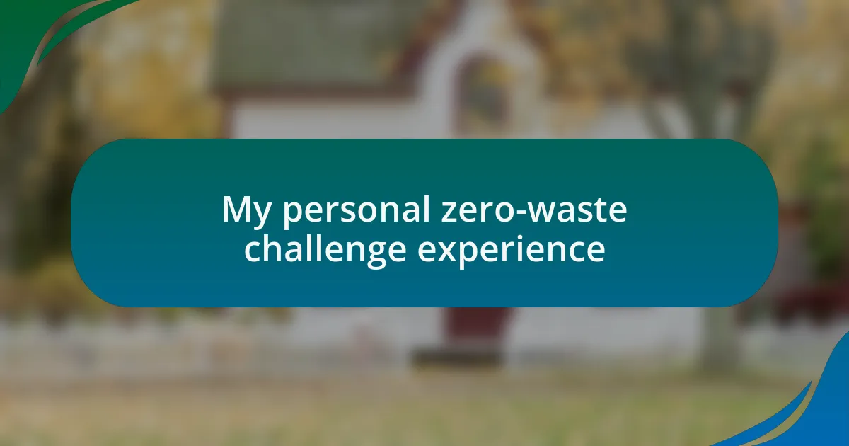 My personal zero-waste challenge experience